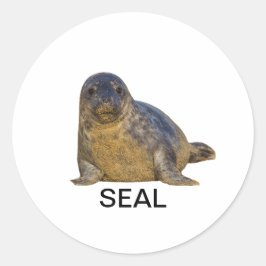 シール02 ラウンドシール