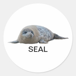 シール04 ラウンドシール