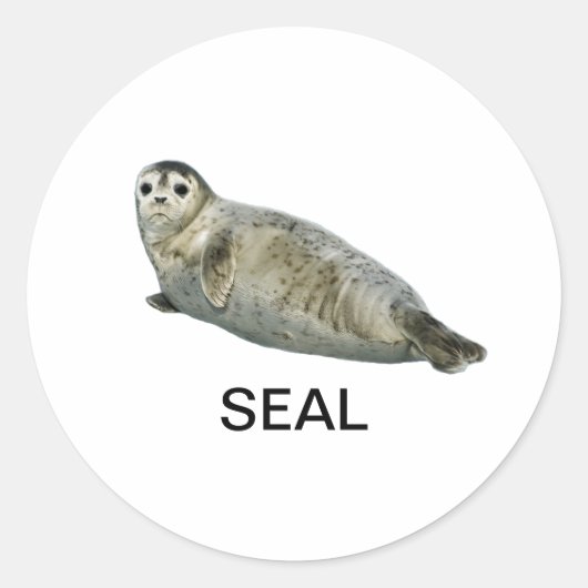 シール05 ラウンドシール (正面)