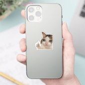 シール サムズアップ OK 猫 ミーム (スマートフォン)