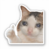 シール サムズアップ OK 猫 ミーム (正面)