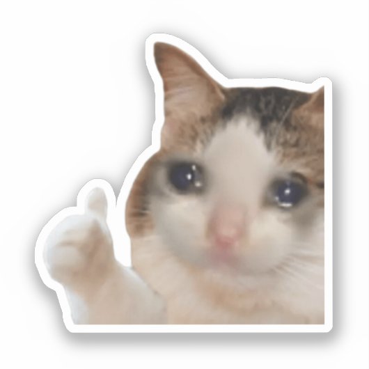 シール サムズアップ OK 猫 ミーム (正面)