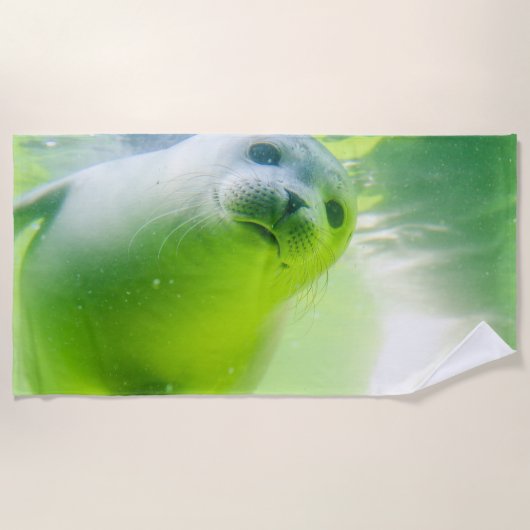 シール ビーチタオル (正面)