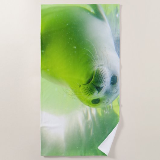 シール ビーチタオル (正面)