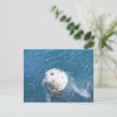 シール ポストカード (スタンド正面)