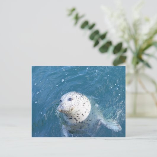 シール ポストカード (スタンド正面)