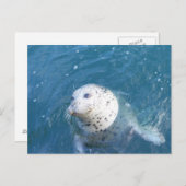 シール ポストカード (正面/裏面)