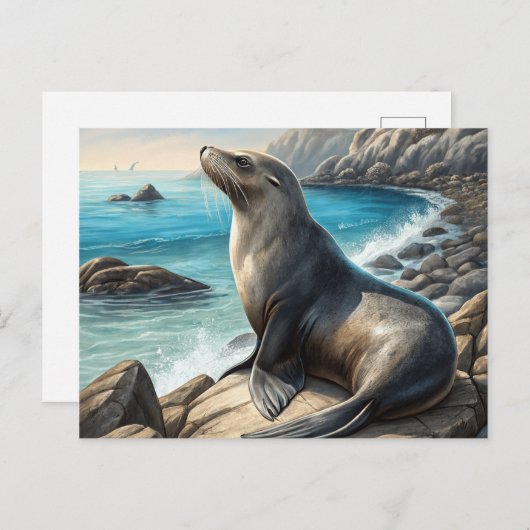 シール ポストカード (正面/裏面)