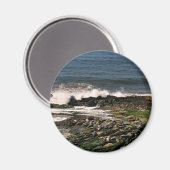 シール マグネット (正面/裏面)