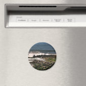 シール マグネット (インサイチュ (食洗機))