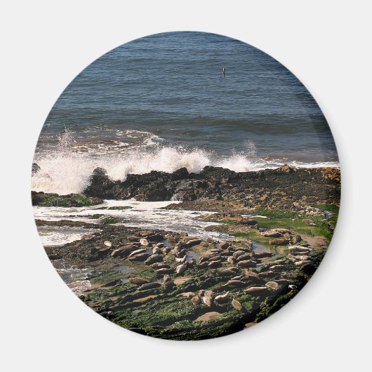 シール マグネット (正面)