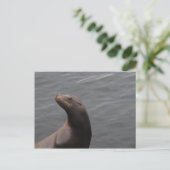 シール – モンテリーベイCA ポストカード (スタンド正面)