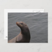 シール – モンテリーベイCA ポストカード (正面/裏面)