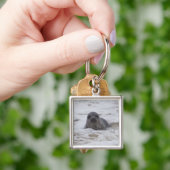 シール – Animal Photo Premium Square Keychain キーホルダー (手)