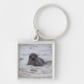 シール – Animal Photo Premium Square Keychain キーホルダー (正面)