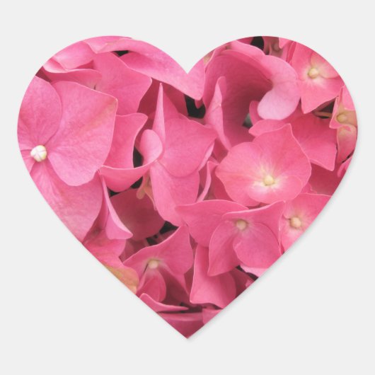 シール – Dark Pink Hydrangea (正面)