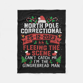 シーンから逃れる北極の矯正 フリースブランケット