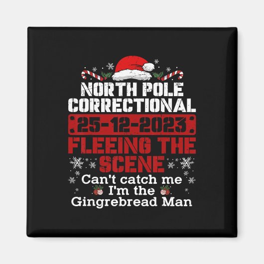 シーンから逃れる北極の矯正 マグネット (正面)