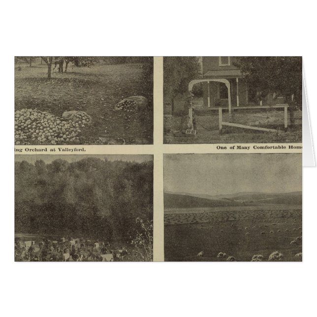 シーン内陸帝国 (正面横)