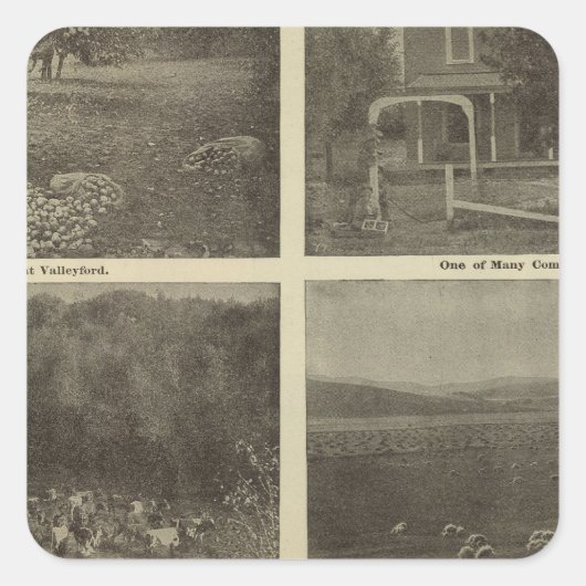 シーン内陸帝国 スクエアシール (正面)