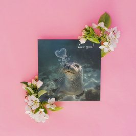 シー吹ルハート