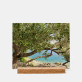 シー地中海のオリーブの木の写真 アクリルサイン (正面)