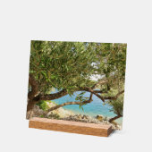 シー地中海のオリーブの木の写真 アクリルサイン (傾斜)