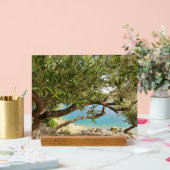 シー地中海のオリーブの木の写真 アクリルサイン (ウェディング)