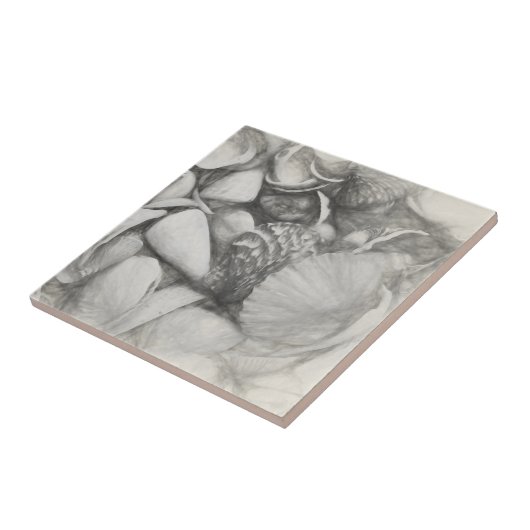 シー航海のシェルズ海ビーチヴィンテージアンティーク タイル (側面)