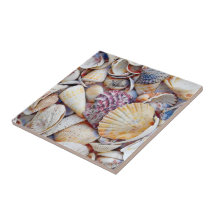 シー航海のシェルズ海ビーチ水色