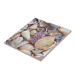 シー航海のシェルズ海ビーチ水色 タイル