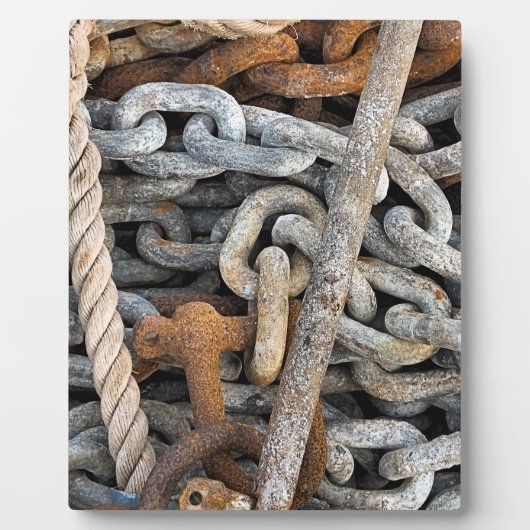 シー魚釣り フォトプラーク (正面)