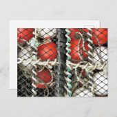 シー魚釣り ポストカード (正面/裏面)