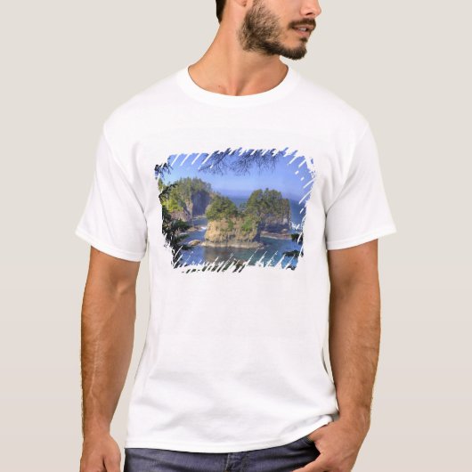 シー・スタック、マカー族の土地、ケープ Tシャツ (正面)