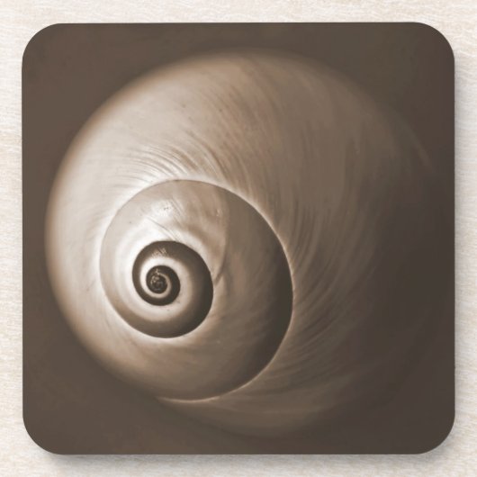 シー・スネイルのオウムガイの貝の正方形のコースター コースター (正面)