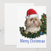 シー・ズー シーズンカード (正面/裏面)