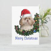 シー・ズー シーズンカード (スタンド正面)