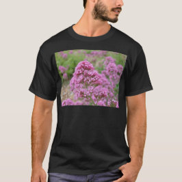 シー・ピンク Tシャツ