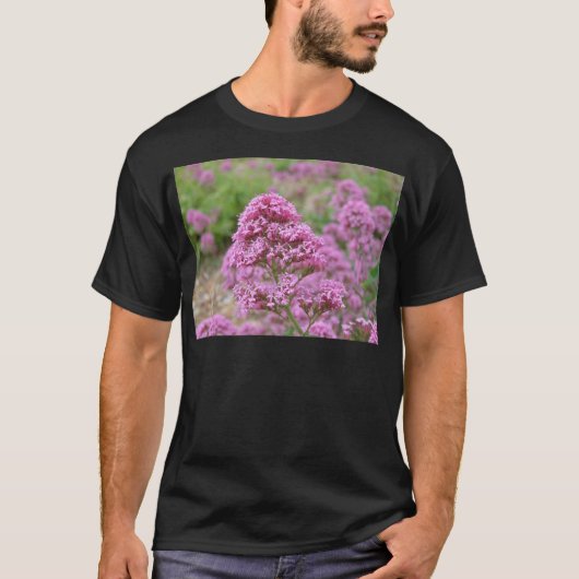 シー・ピンク Tシャツ (正面)