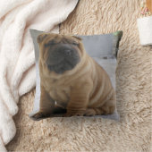 シ中国のアPEi クッション (ブランケット)