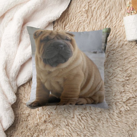 シ中国のアPEi クッション (ブランケット)