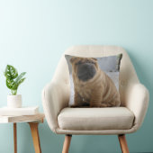 シ中国のアPEi クッション (椅子)