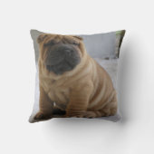 シ中国のアPEi クッション (裏面)