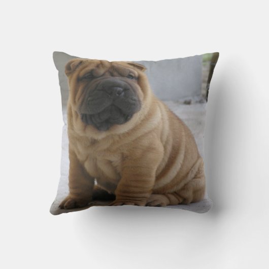 シ中国のアPEi クッション (裏面)