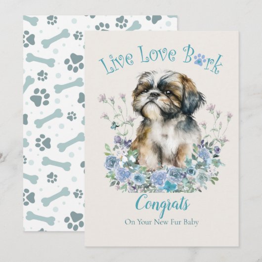 シ Shih Tzuの犬の里親募集、待ちに待ったお迎えの日 カード (正面/裏面)