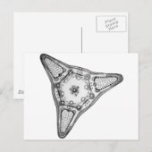 ジアトム ポストカード (正面/裏面)