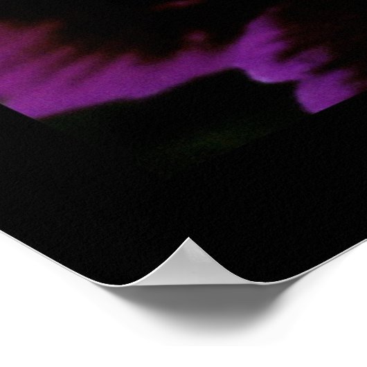 ジアンサス ポスター (角)