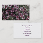 ジアンサス 名刺 (正面/裏面)