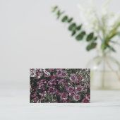 ジアンサス 名刺 (スタンド正面)