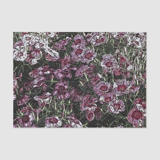 ジアンサス 薄葉紙 (正面)